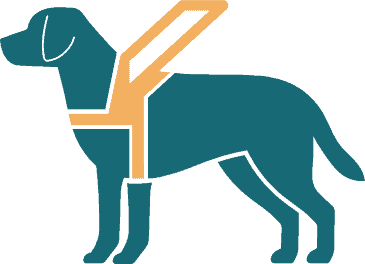 Assistance dog foundation training a service dog for help and support to individuals with disabilities.