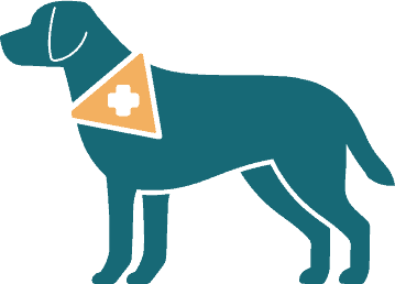 Assistance dog wearing a vest and collar, trained to support individuals with disabilities and improve independence.