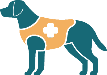 Assistance dog wearing medical alert vest assisting a person with a disability, emphasizing service dog training and support for individuals with medical needs.