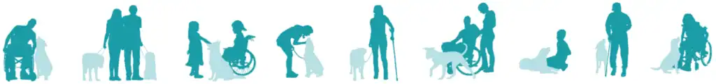 Assistance dog at work helping individuals with disabilities, providing independence and companionship through specialized training.