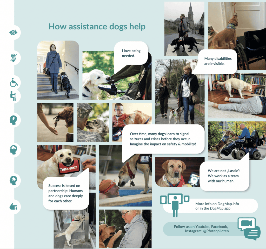 Helping people with disabilities using assistance dogs, service dogs for mobility, seizure alert, and emotional support, promoting safety and independence for individuals with disabilities.