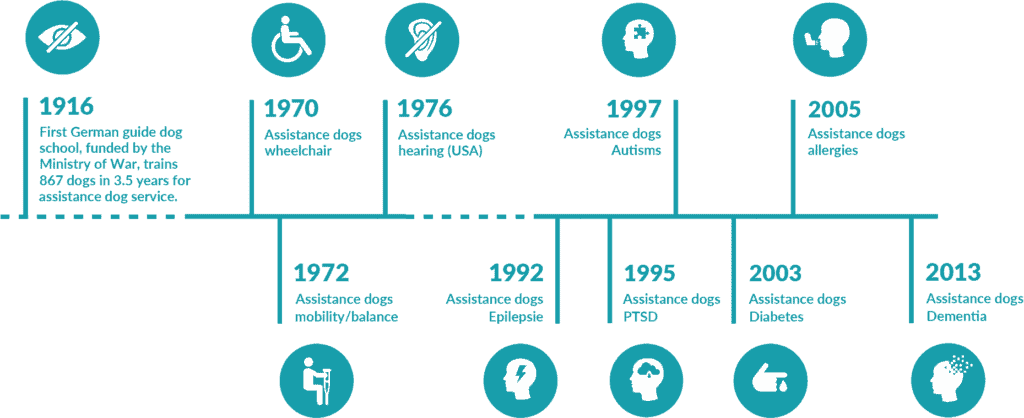 Assistance dog foundation timeline featuring service dogs for mobility, hearing, autism, allergies, epilepsy, PTSD, diabetes, and dementia support.